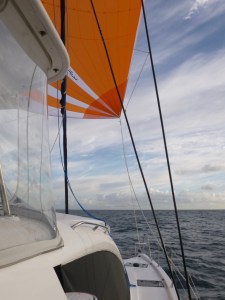 Sengo flying her new spinnaker