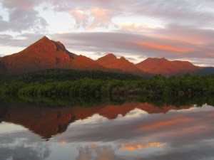 (c) Trish Ebert purringalong.com.au 61 427 813 547