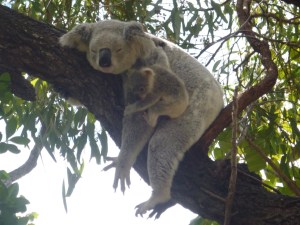 Trying to relax (c) Trish Ebert